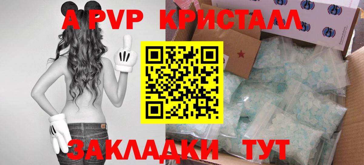Alfa_PVP крисы CK Грозный