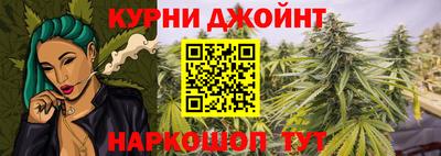 гашик Гусев