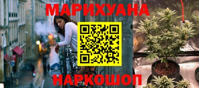 гашик Гусев