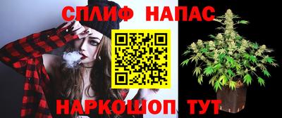 гашик Гусев