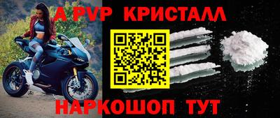 гашик Гусев