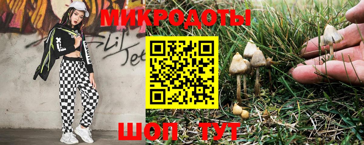 Грозный  Галлюциногенные грибы мухоморы  Псилоцибиновые грибы Psilocybine cubensis  Вход с VPN 