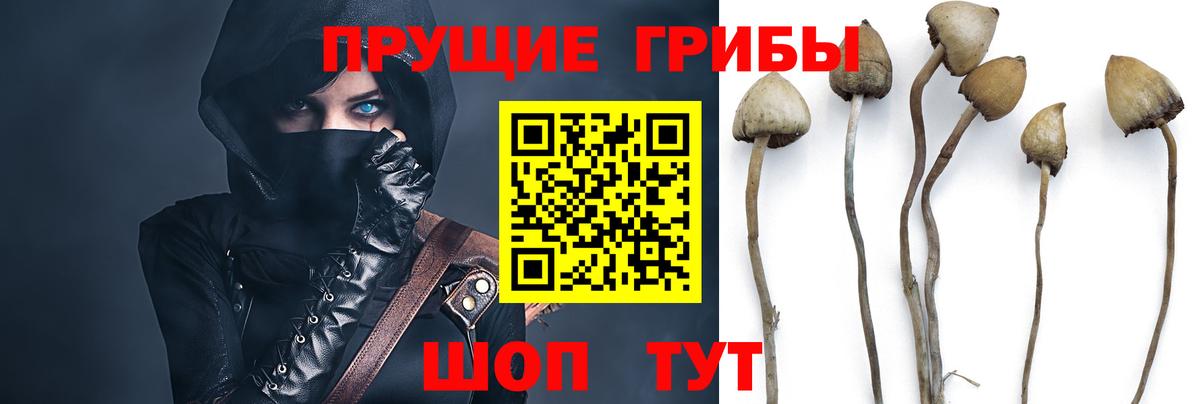 COCAIN  Гашиш  Вход с VPN  Грозный  Меф МЯУ МЯУ   A-PVP СОЛЬ кристаллы  Марихуана  ГАШ  Меф МЯУ МЯУ 